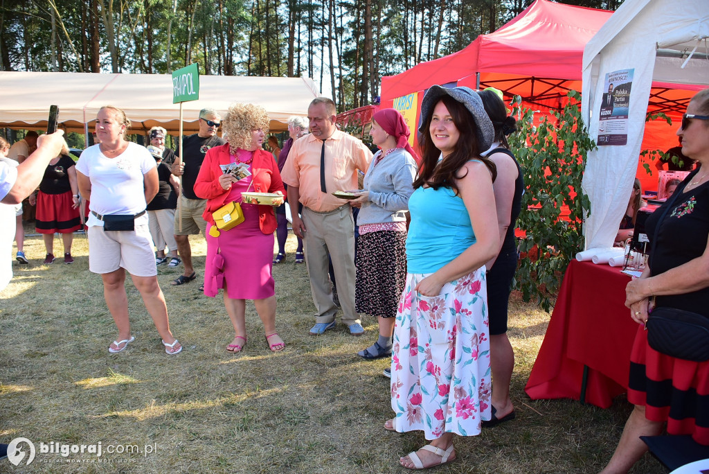 Turniej miejscowości gminy Frampol 2026