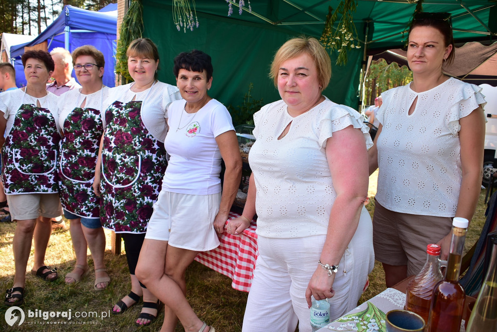 Turniej miejscowości gminy Frampol 2026