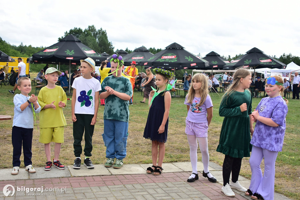 Bukowskie jagodzianki po raz 15-sty w gm. Biłgoraj