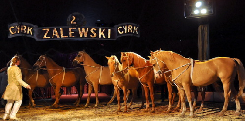 Cyrk Zalewski w Biłgoraju z nowym repertuarem (FOTO)