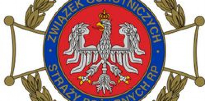 Jubileusz 50-lecia Ochotniczej Straży Pożarnej w Smólsku Dużym (FOTO)