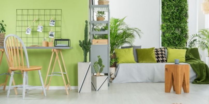 Plamoodporne farby Dulux czy Magnat - porównanie produktów