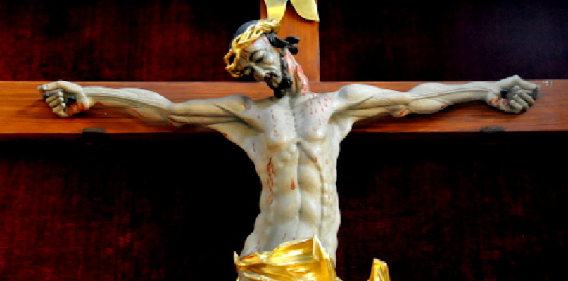 Stanowisko RDRiSKDZL w sprawie ochrony życia i godła RP