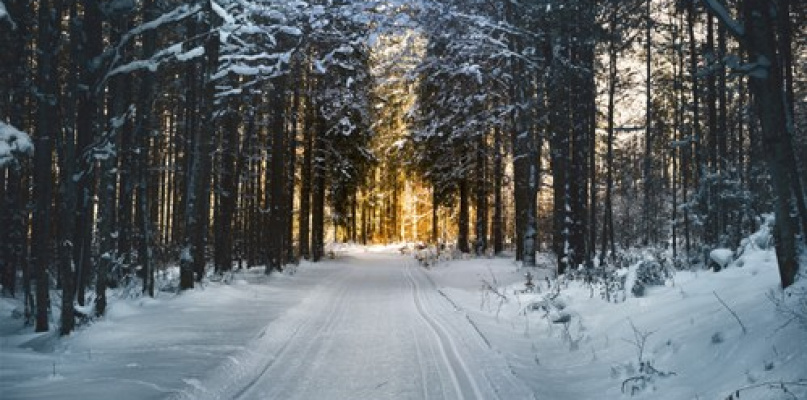 Obozy młodzieżowe, czyli kreatywne ferie dla nastolatków
