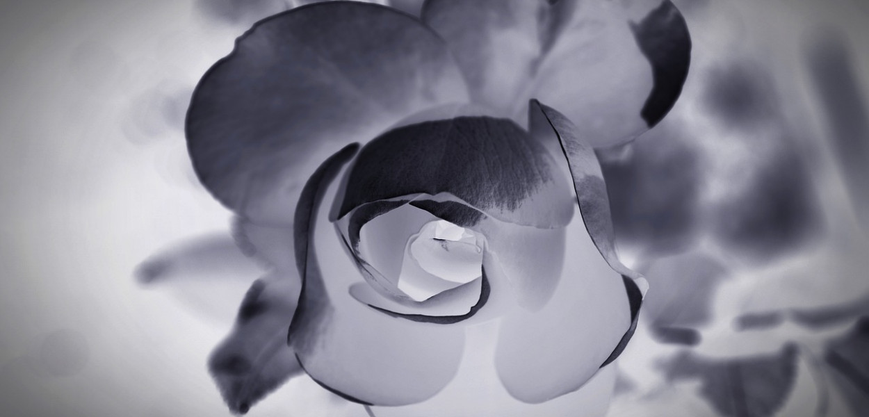 Zmarła wieloletnia dyrektor biłgorajskiej "Czwórki", Krystyna Łysiak