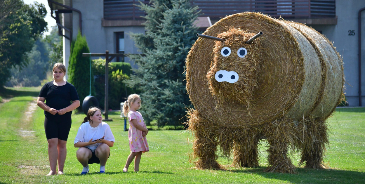 Dożynkowe dekoracje. Rolnikom z naszego powiatu nie brakuje fantazji (FOTO)