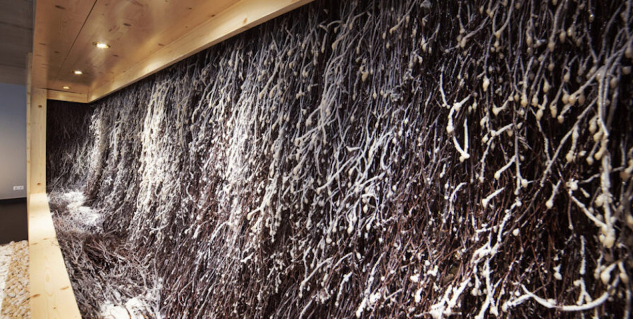 Jak często korzystać z tężni?