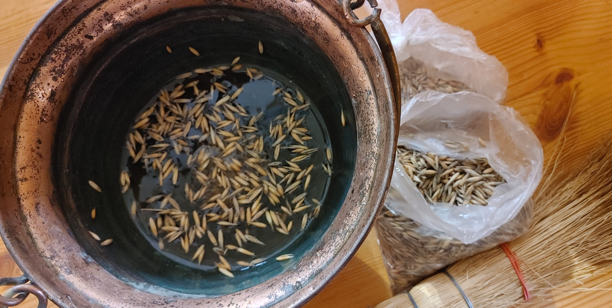 Drugi dzień świąt wspomnienie św. Szczepana i poświęcenie owsa (FOTO, VIDEO)