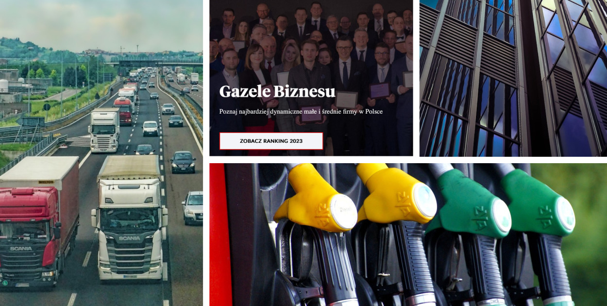 Najlepsze małe i średnie firmy w powiecie biłgorajskim GAZELE BIZNESU 2023