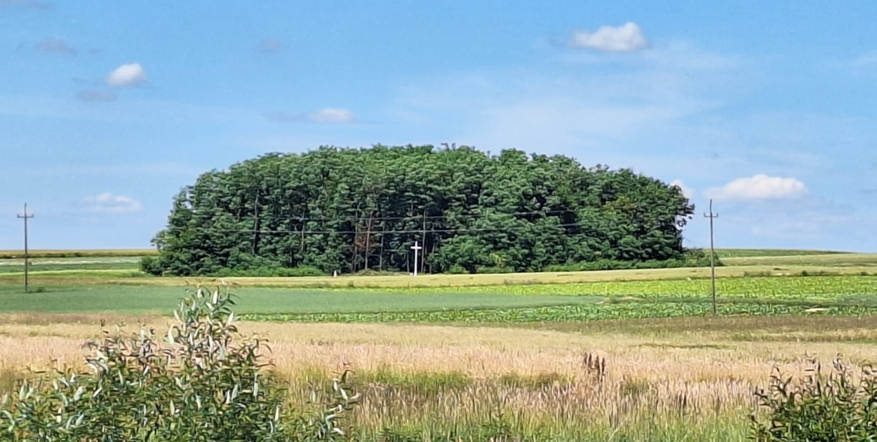 Powrót znaku wiary: Krzyż na unickim cmentarzu w Babicach