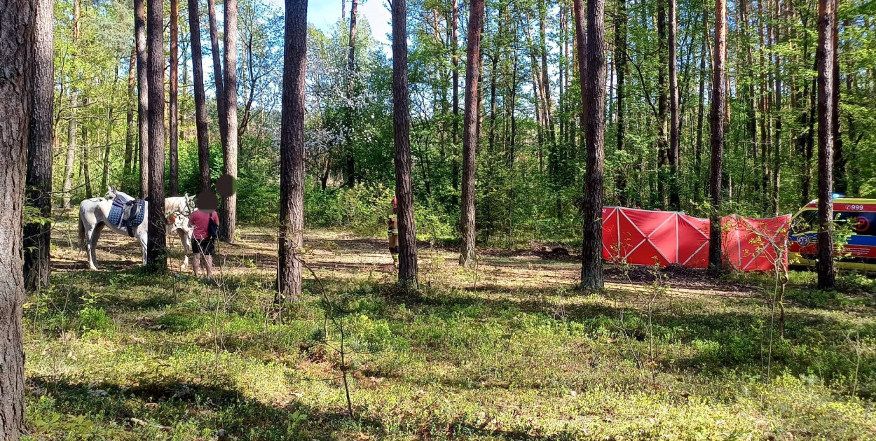Tragedia w lesie koło Biłgoraja. Nastolatka spadła z konia i zginęła AKTUALIZACJA