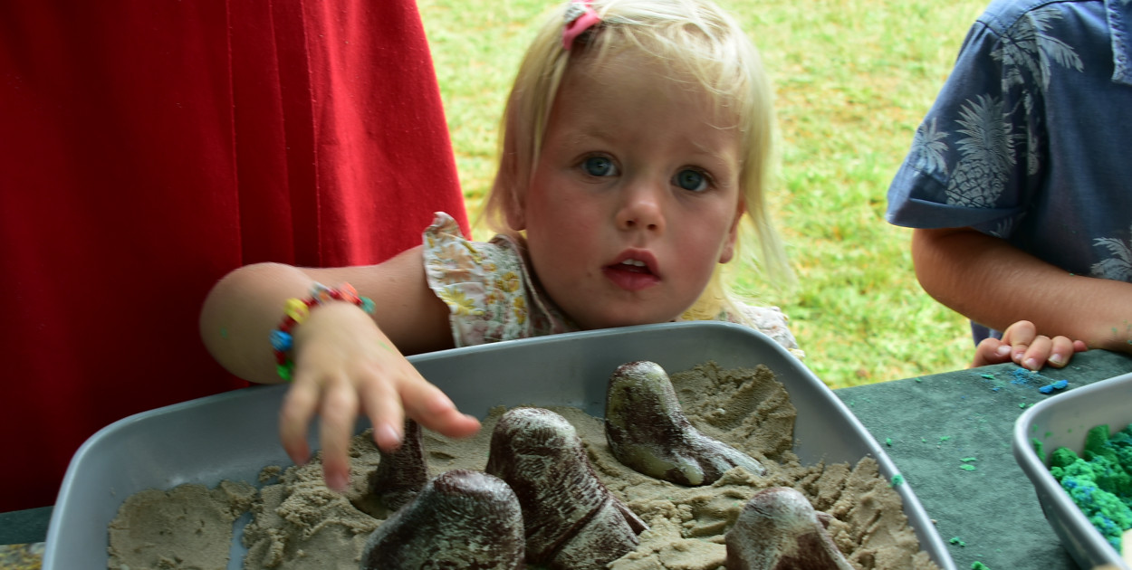 Piknik ekologiczny w Górecku Kościelnym