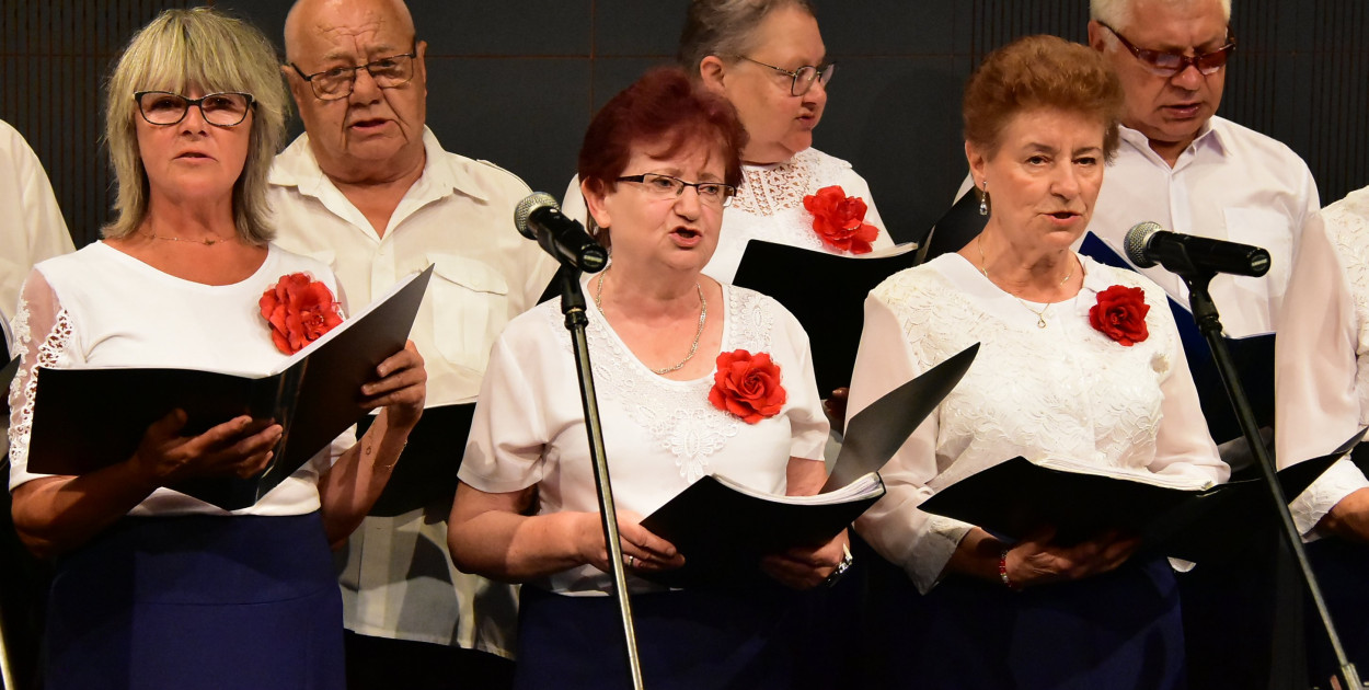 Tak świętowali 15 sierpnia. Wspólne śpiewanie pieśni patriotycznych