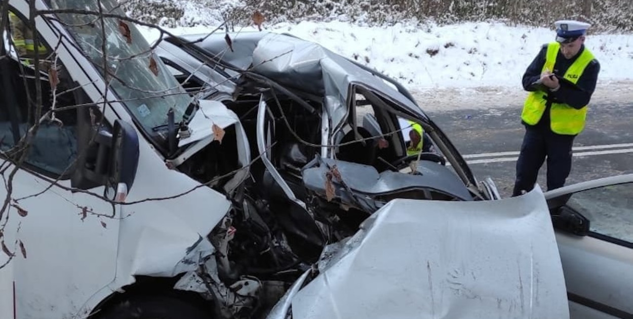 Śmiertelny Wypadek. Mieszkaniec Aleksandrowa kierował Renault, Foto: KPP Tomaszów Lubelski