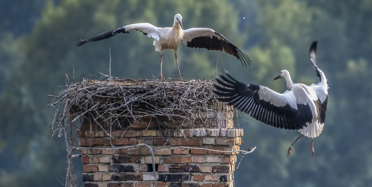 6,1 mln zł na ratowanie jakości powietrza w gminie Księżpol 