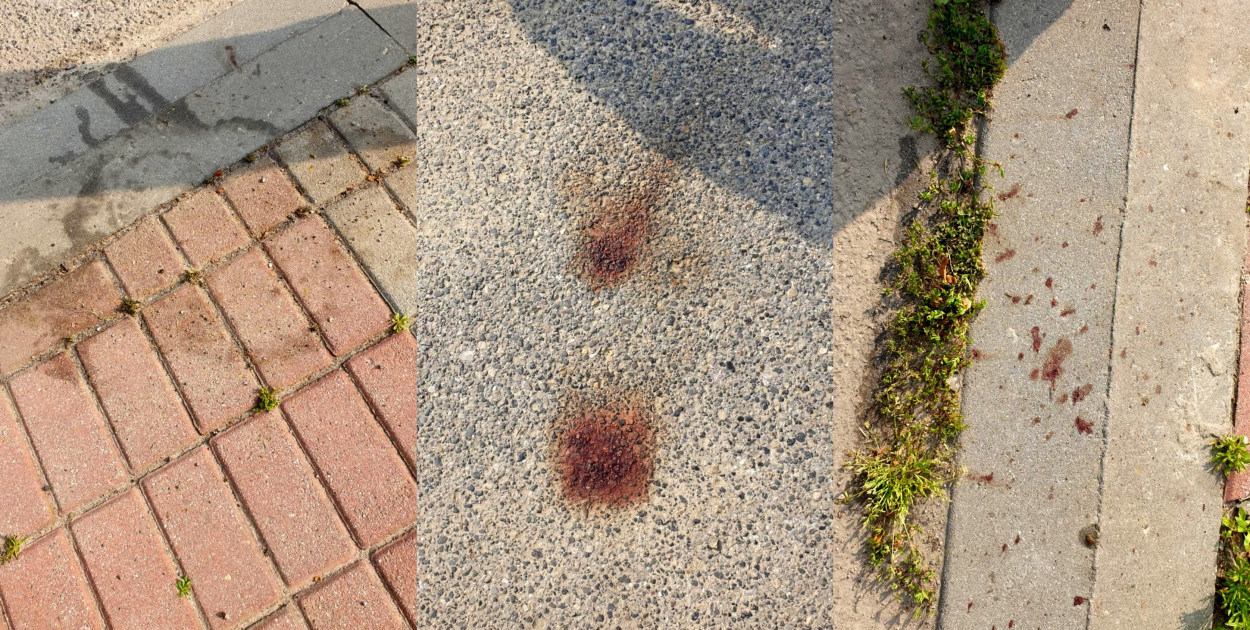 Pobicie w Tereszpolu? Policja ustala co się wydarzyło