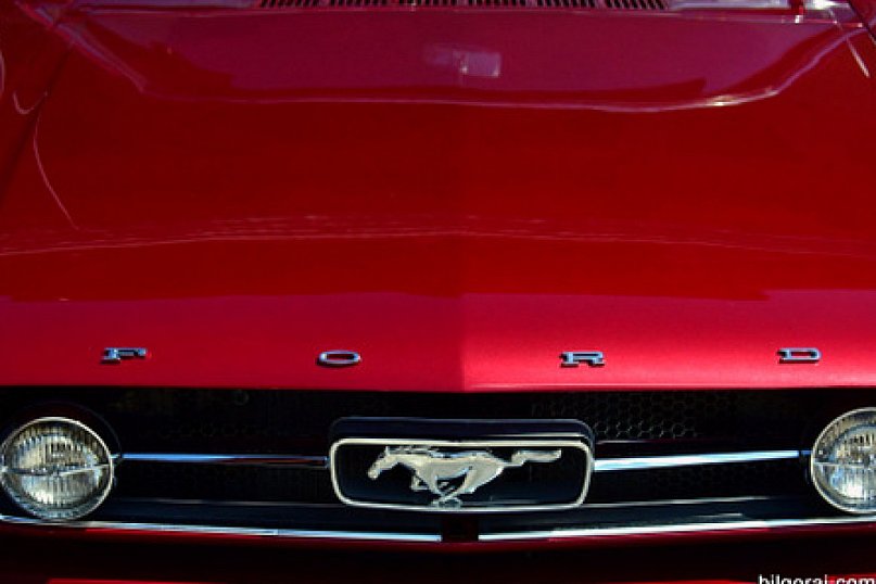 Biłgorajski Zlot Pojazdów Zabytkowych i Kolekcjonerskich (FOTO)