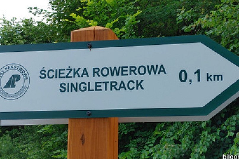 Dziś pierwszy dzień wakacji. Mamy propozycję..