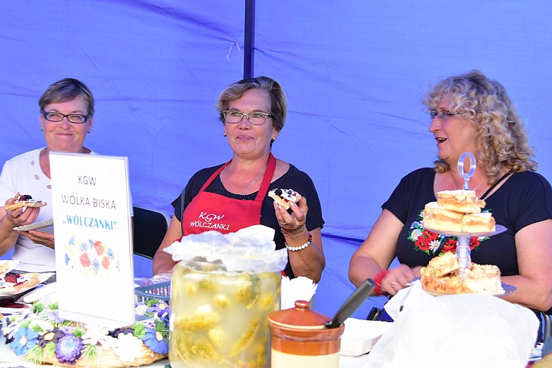 Piknik rodzinny w Wólce Biskiej