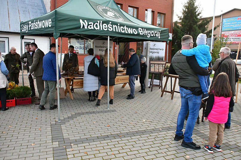 W Biłgoraju leśnicy za darmo rozdawali sadzonki drzew