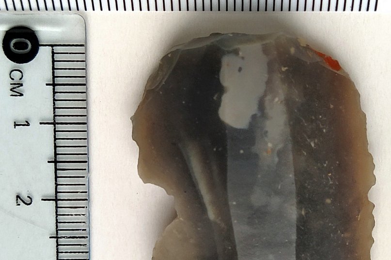 Powiat biłgorajski pełen archeologicznych artefaktów