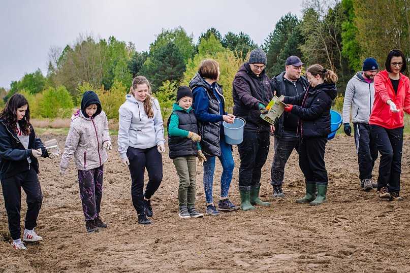 Horytków Duży gmina Biłgoraj: Wysiali kwietną łąkę