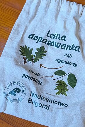 Biłgorajskie spotkanie edukacyjne: las, natura i troska o środowisko-13174