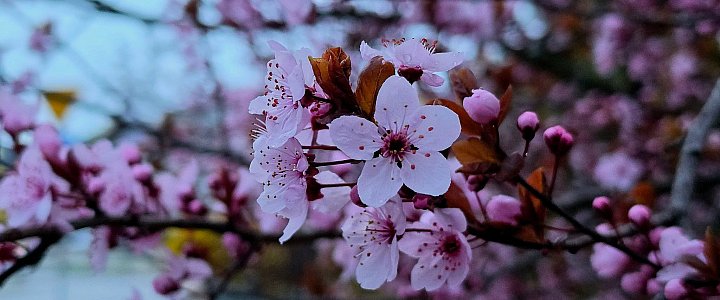 bilgoraj.com.pl na Facebooku