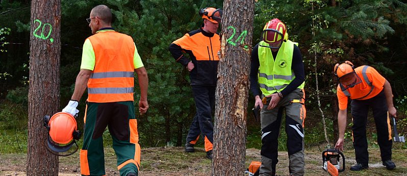 ALEKSANDRÓW: Lubeslki Turniej Drwali