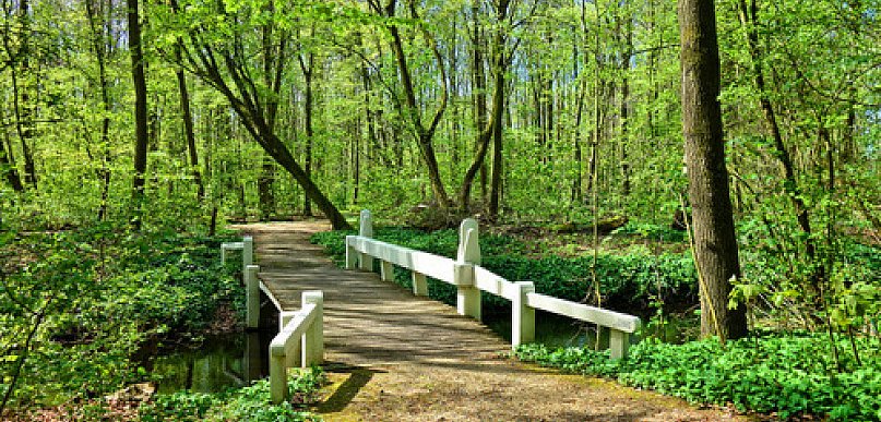 Kładki pieszo - rowerowe - zalety i stosowanie