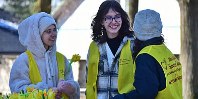 Biłgoraj. Pola Nadziei dla Hospicjum Santa Galla (FOTO)-51116