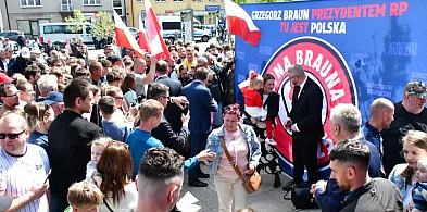 Kilkaset osób na wiecu wyborczym Grzegorza Brauna w Biłgoraju (FOTO, VIDEO)-52462