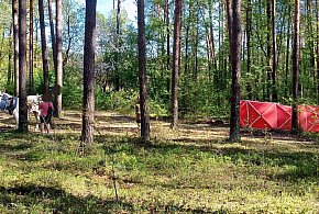 Tragedia w lesie koło Biłgoraja. Nastolatka spadła z konia i zginęła AKTUALIZACJA-52508