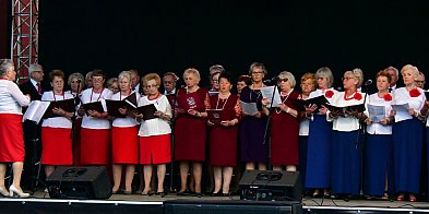 Biłgorajscy seniorzy uczcili Dzień Konstytucji 3 Maja-52537