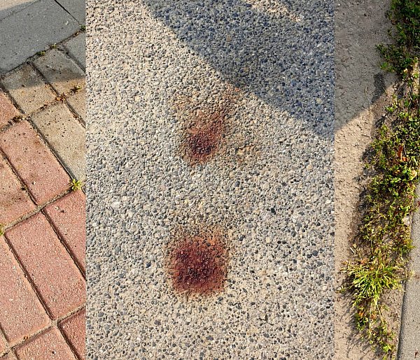 Pobicie w Tereszpolu? Policja ustala co się wydarzyło-53732