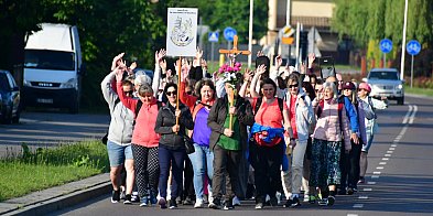 Biłgoraj. II Piesza Pielgrzymka do Radecznicy (FOTO, VIDEO)-53741