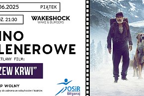 Kino plenerowe nad Zalewem Bojary wraca! Sprawdź, kiedy i co na Ciebie czeka-53823