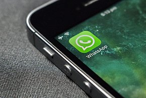 WhatsApp się zmienia. Czy aplikacja będzie płatna?-53873