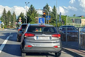 Egzamin na prawo jazdy będzie inny. Od 1 lipca nowe zasady-54014