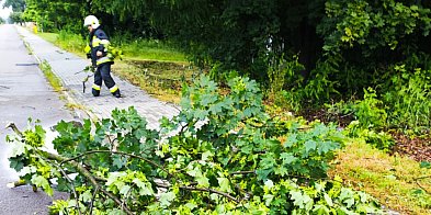 Burze nad powiatem. Straż interweniowała 23 razy-54024
