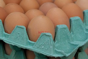 Salmonella na jajach znanej marki. Nie jedz, jeśli masz je w lodówce!-54222
