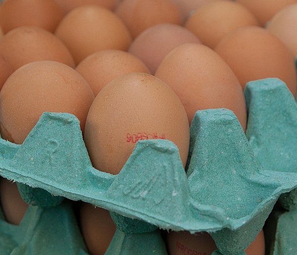 Salmonella na jajach znanej marki. Nie jedz, jeśli masz je w lodówce!-54222