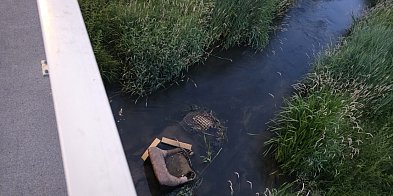 Po naszej interwencji służby posprzątały rzekę-54450