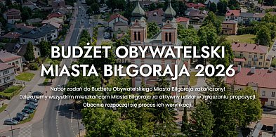 Budżet obywatelski. Zakończył się etap zgłaszania zadań-55138