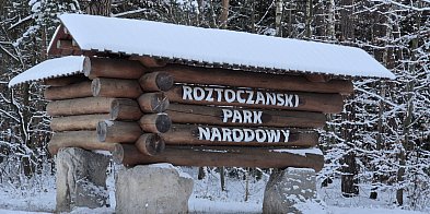 Poseł poinformowała o wsparciu dla RPN-u-55172