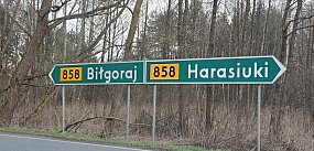 Co dalej z remontem W858? Jest apel do marszałka
