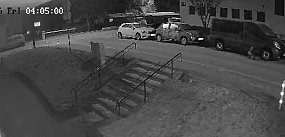 Czy rozpoznajesz te psy? (VIDEO)