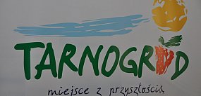 Wybory uzupełniające do Rady Miejskiej w Tarnogrodzie