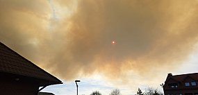 Potężny pożar lasu między Józefowem a Kozakami