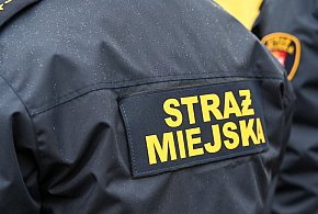 Zapuka strażnik, zapłacisz karę. Ruszyły kontrole w całej Polsce-57098